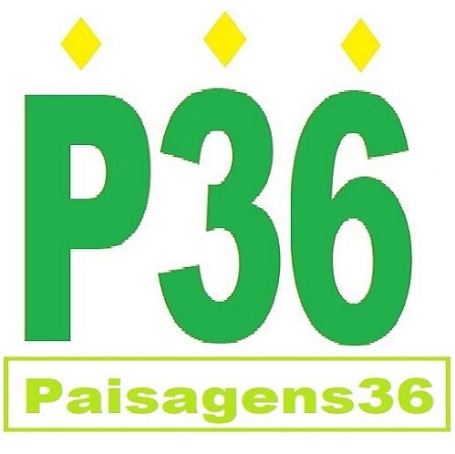 Filmadoras profissionais